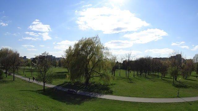 Park "Gorczewska"